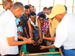 FAO backs compost training to boost local fertilizer in East Africa