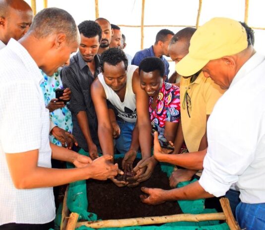 FAO backs compost training to boost local fertilizer in East Africa