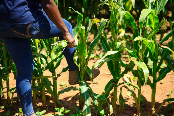 Farm Visit February 6th, 2026