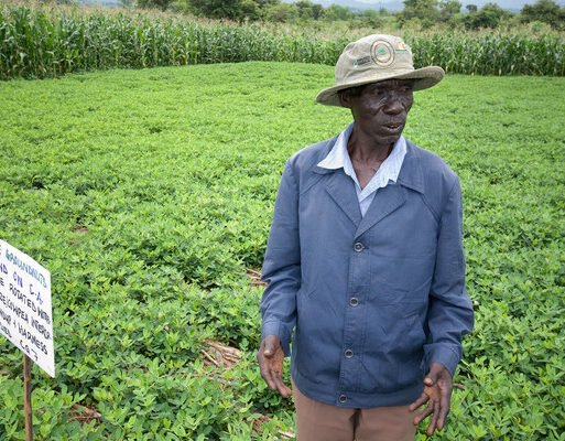 Farmer_in_Africa_Conservation_Agriculture_600x400