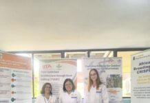 IITA, Bayer partner to develop climate-resilient, high-yield, nutrient-dense crops for Sub-Saharan African smallholders