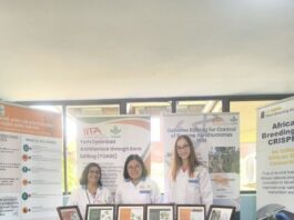 IITA, Bayer partner to develop climate-resilient, high-yield, nutrient-dense crops for Sub-Saharan African smallholders