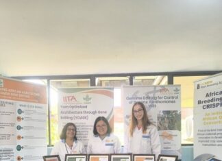 IITA, Bayer partner to develop climate-resilient, high-yield, nutrient-dense crops for Sub-Saharan African smallholders