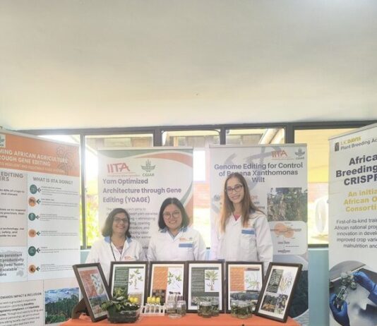 IITA, Bayer partner to develop climate-resilient, high-yield, nutrient-dense crops for Sub-Saharan African smallholders