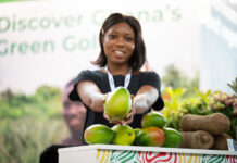 Macfrut 2026 sets new benchmark with innovation, global reach and tropical spotlight