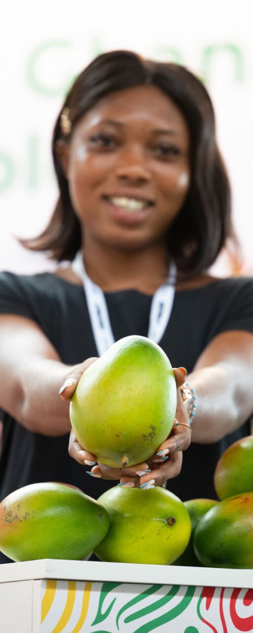 Mango a Macfrut 2025