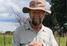 Why healthy-looking herds may still face nutritional stress