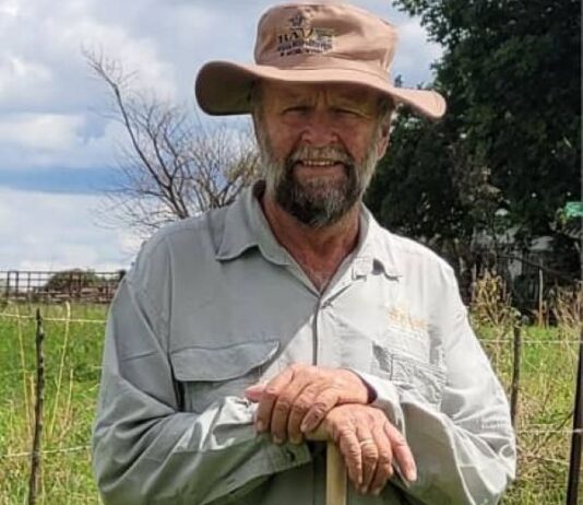 Why healthy-looking herds may still face nutritional stress