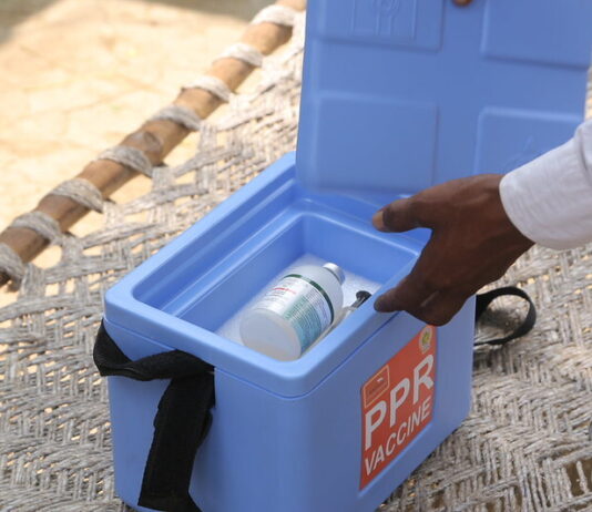 First-of-its-kind combination vaccine launched in Kenya to increase protection against small ruminant diseases