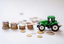 ROI Reality Check: Paper vs. Other Agricultural Opportunities in Africa