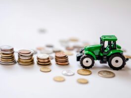 ROI Reality Check: Paper vs. Other Agricultural Opportunities in Africa