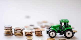 ROI Reality Check: Paper vs. Other Agricultural Opportunities in Africa