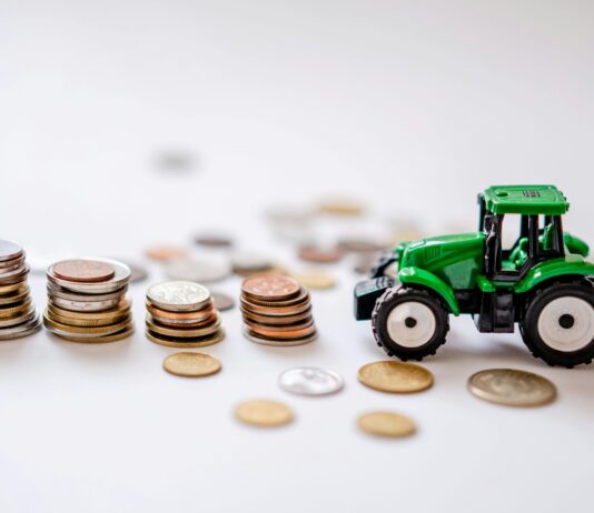 ROI Reality Check: Paper vs. Other Agricultural Opportunities in Africa