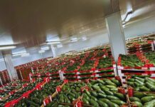 Harvesting Success at NAMPO with Plus0 Logistics