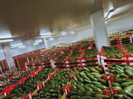 Harvesting Success at NAMPO with Plus0 Logistics