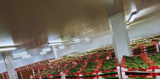 Harvesting Success at NAMPO with Plus0 Logistics