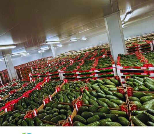 Harvesting Success at NAMPO with Plus0 Logistics