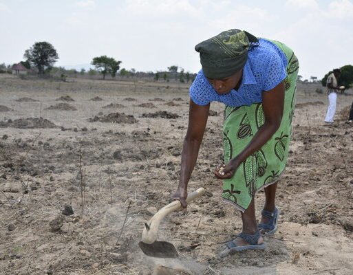Smallholder_farmer_planting_in_drought_zone_600x400