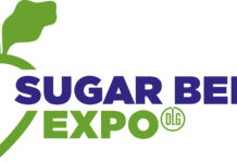 Sugar beet cultivation: Weed control using field robotics