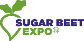 Sugar beet cultivation: Weed control using field robotics