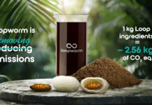 Loopworm achieves carbon-negative animal and pet food ingredients, according to PwC