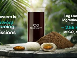 Loopworm achieves carbon-negative animal and pet food ingredients, according to PwC