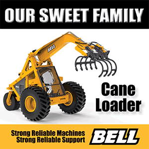 Sweet-Family-Web banner