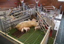 WEDA unveils Be.Fit exercise pen, combining animal welfare with functionality