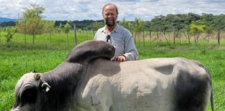 Veld fires: The silent threat to Zimbabwe’s land, water, and livestock