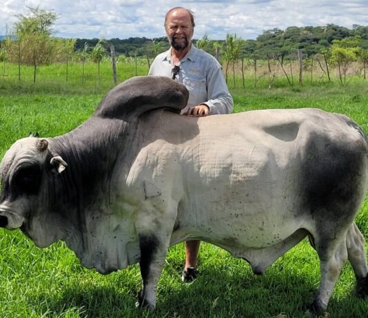 Veld fires: The silent threat to Zimbabwe’s land, water, and livestock