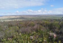 Bending the Biodiversity Curve: The Role of Private Stewardship in Nature Conservation