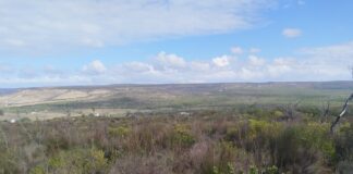 Bending the Biodiversity Curve: The Role of Private Stewardship in Nature Conservation