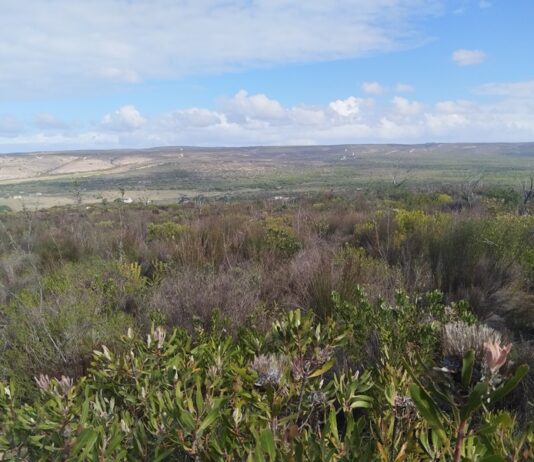 Bending the Biodiversity Curve: The Role of Private Stewardship in Nature Conservation