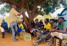 Op-Ed: Closing the Gap: Zambia’s Lessons in Empty Pesticide Container Management for Africa