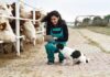 The hidden role veterinarians play in South Africa’s economy