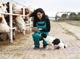 The hidden role veterinarians play in South Africa’s economy