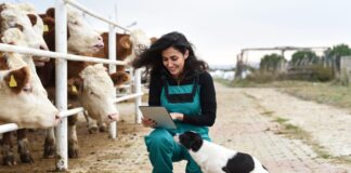 The hidden role veterinarians play in South Africa’s economy