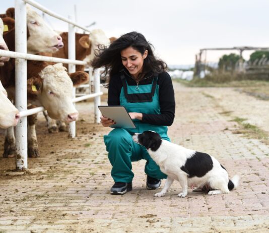 The hidden role veterinarians play in South Africa’s economy