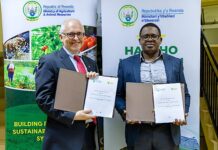 Rwanda to rehabilitate cold-room facilities to improve post-harvest handling for over 400,000 smallholders