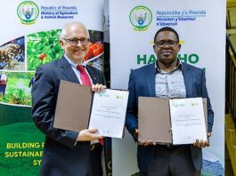 Rwanda to rehabilitate cold-room facilities to improve post-harvest handling for over 400,000 smallholders