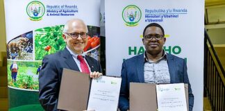 Rwanda to rehabilitate cold-room facilities to improve post-harvest handling for over 400,000 smallholders