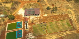 Integrated Aqua-Agriculture growth in East Africa. From theory to PrAEctiCe