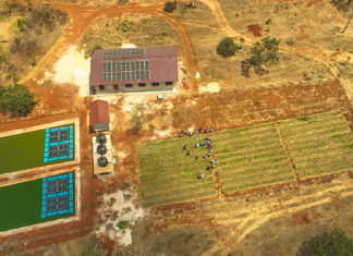 Integrated Aqua-Agriculture growth in East Africa. From theory to PrAEctiCe