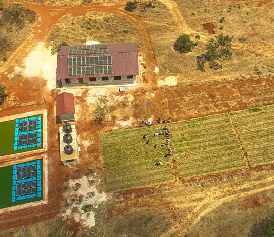 Integrated Aqua-Agriculture growth in East Africa. From theory to PrAEctiCe