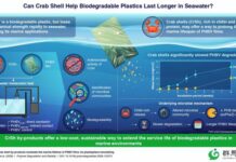 Crab shell by-products could help regulate the marine lifetime of biodegradable plastics, researchers, researchers, researchers