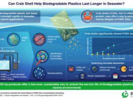 Crab shell by-products could help regulate the marine lifetime of biodegradable plastics, researchers, researchers, researchers
