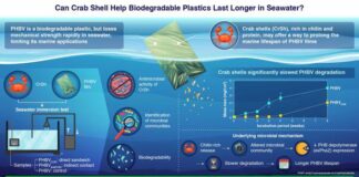 Crab shell by-products could help regulate the marine lifetime of biodegradable plastics, researchers, researchers, researchers