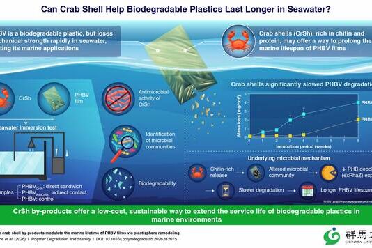 Crab shell by-products could help regulate the marine lifetime of biodegradable plastics, researchers