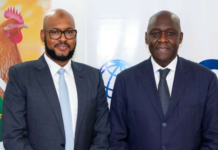 IFC commits $20 Million to SONOCO Group to boost Guinea’s poultry sector and food security