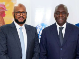 IFC commits $20 Million to SONOCO Group to boost Guinea’s poultry sector and food security
